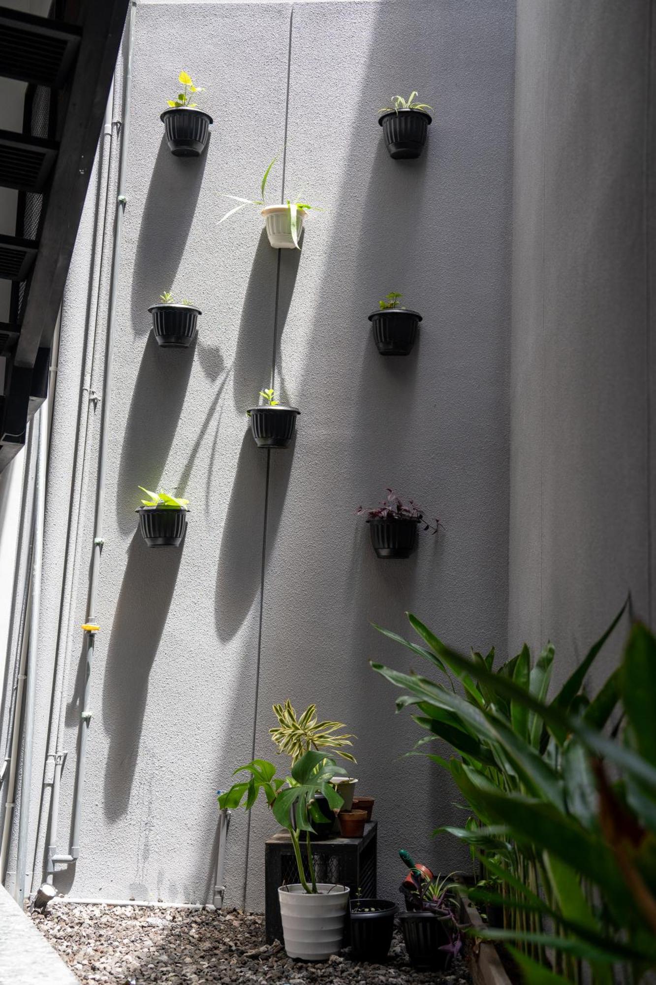 The Kamala Guest House Canggu Exterior foto